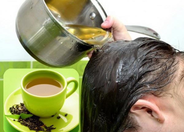 cách mọc tóc phần trán bàng lá trà xanh