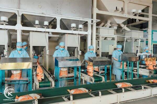 white-rice-in-bulk-2
