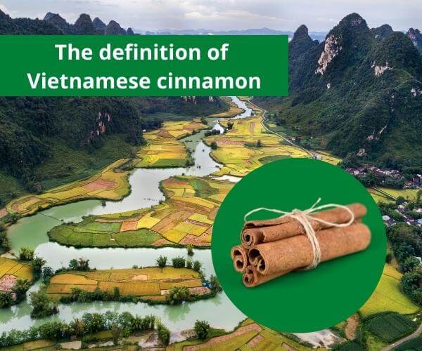 Vietnamese-cinnamon-b-1. jpg