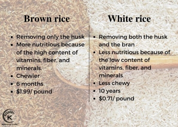 3-key-differences-between-brown-rice-and-white-rice